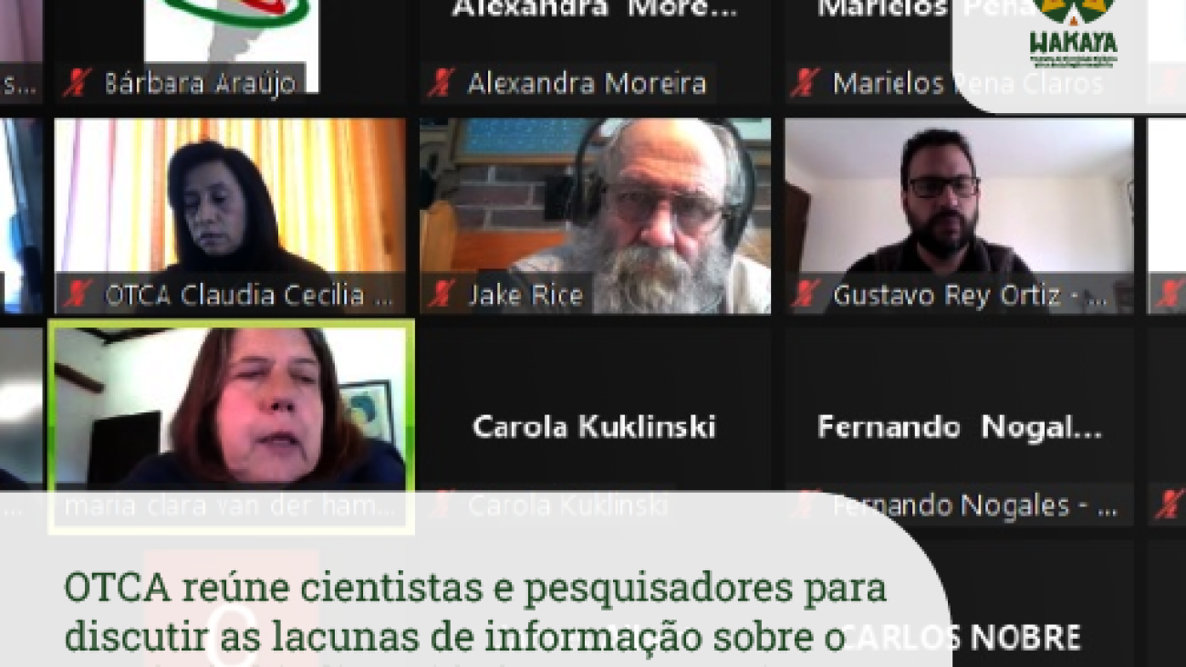 notícia 8-01