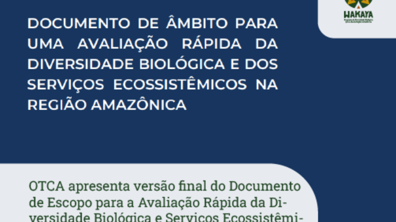 notícia 10 - 02-02
