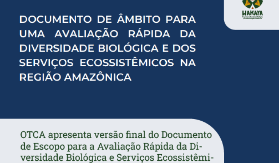 notícia 10 - 02-02