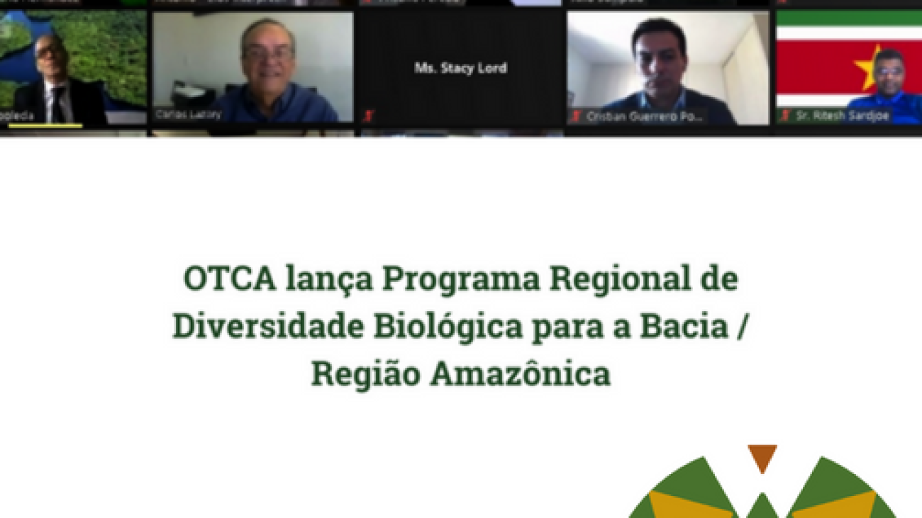 Noticia 5