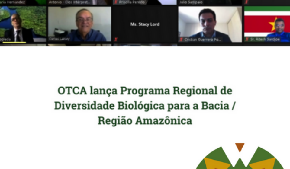 Noticia 5