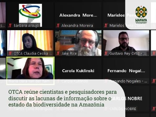 notícia 8-01